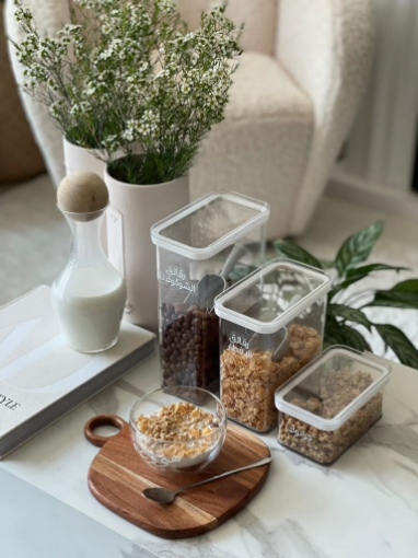 Picture of Clear lid container-large