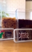 Picture of Cereal set of 3