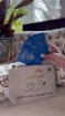 Picture of Passport Pouch -With 4 Passports Labels